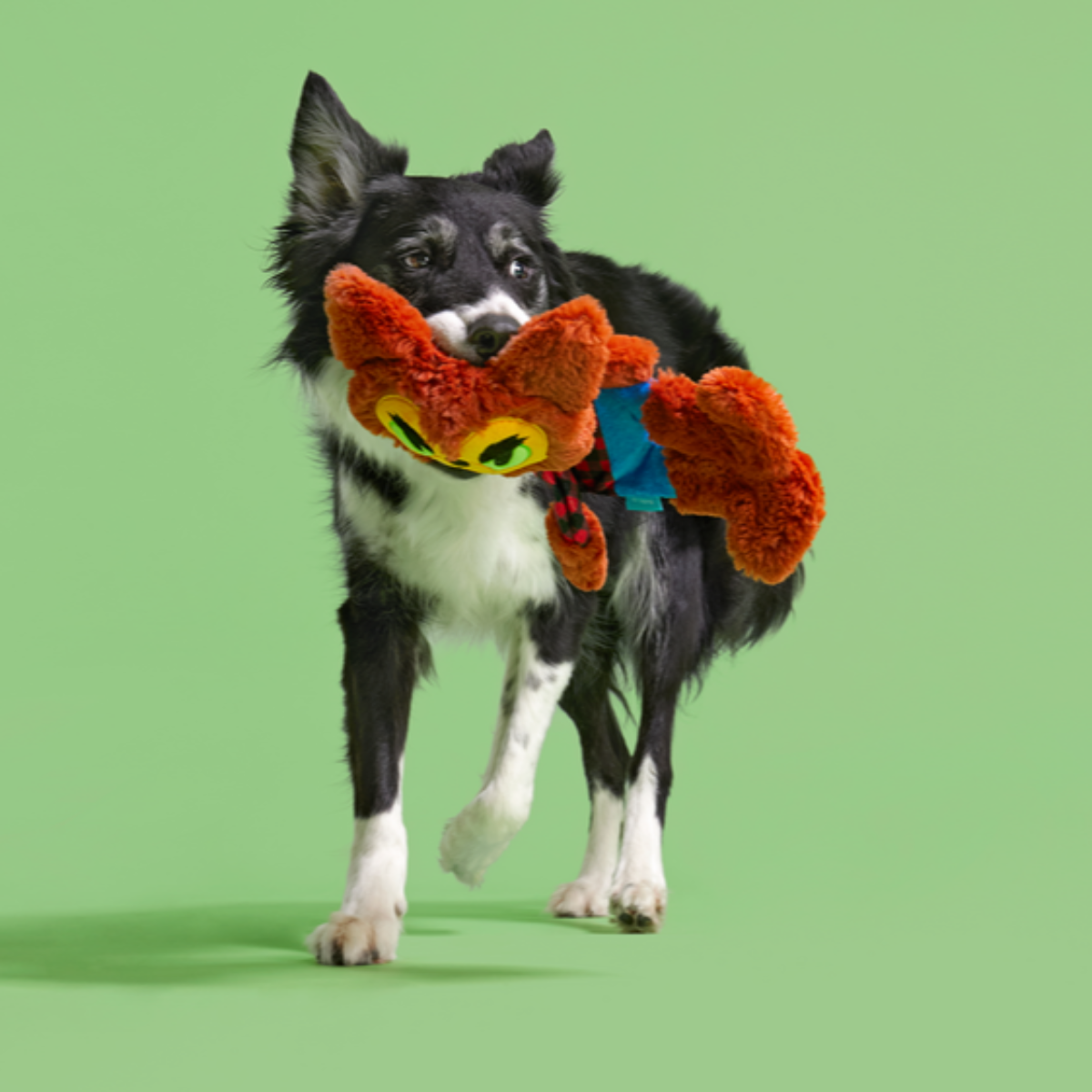 Teen Woof Plush Tug Dog Toy