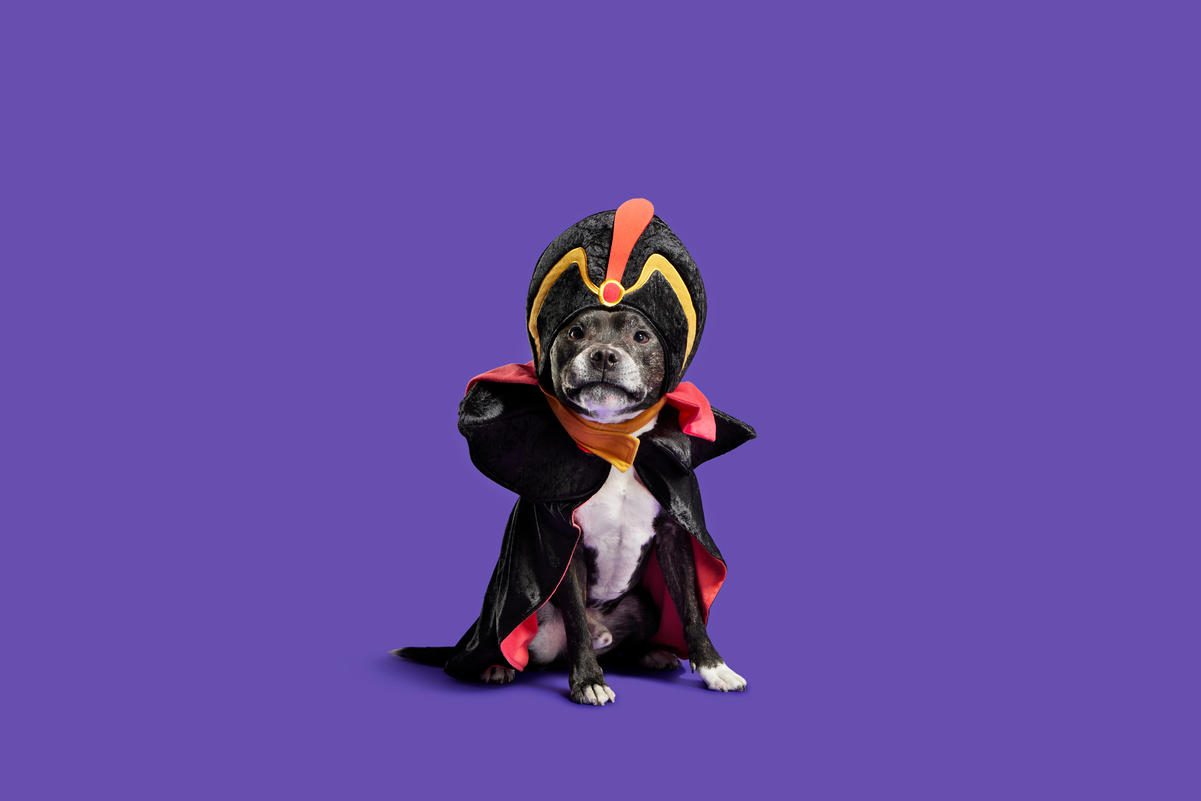 Jafar Costume