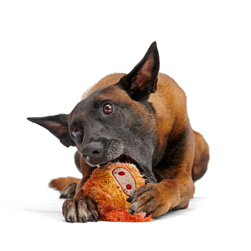 Lerf - Secret Monster Club