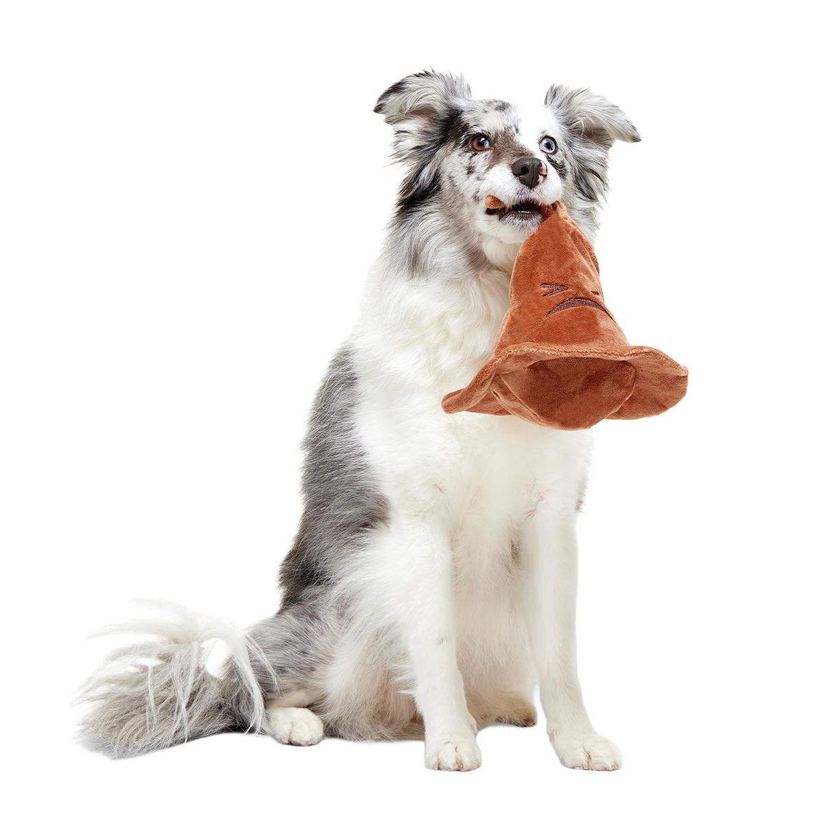 The Sorting Hat™ Plush 2-in-1 + Fetch Dog Toy