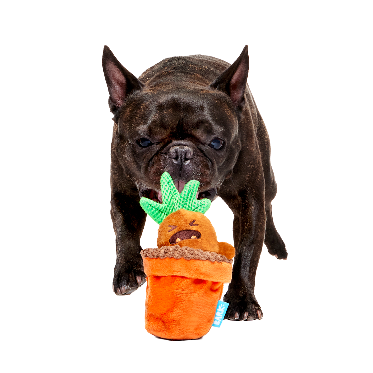 Mandrake™ Plush Tug + Multi-Part Dog Toy