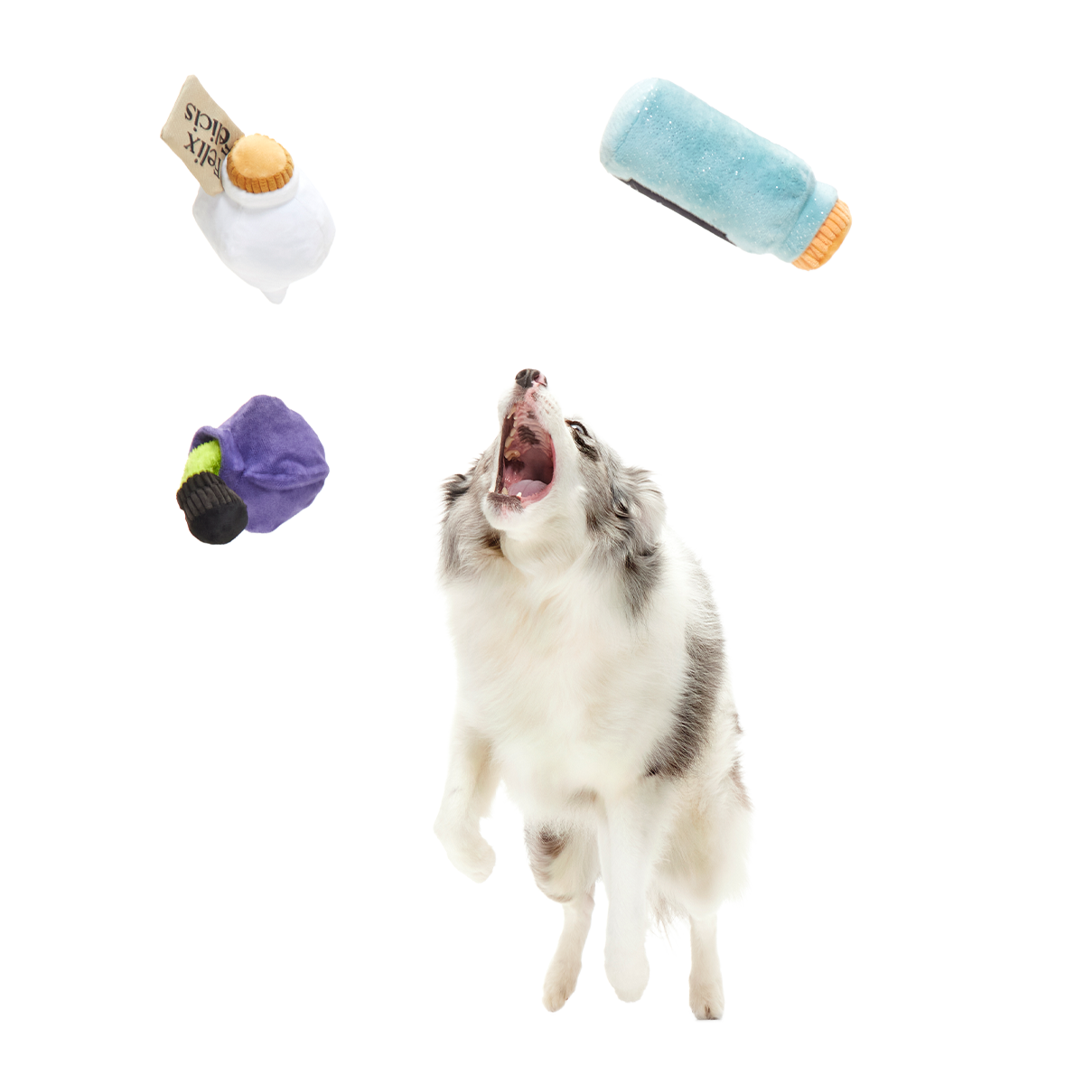Potions Class Pack™ Plush Multi-Part Dog Toy