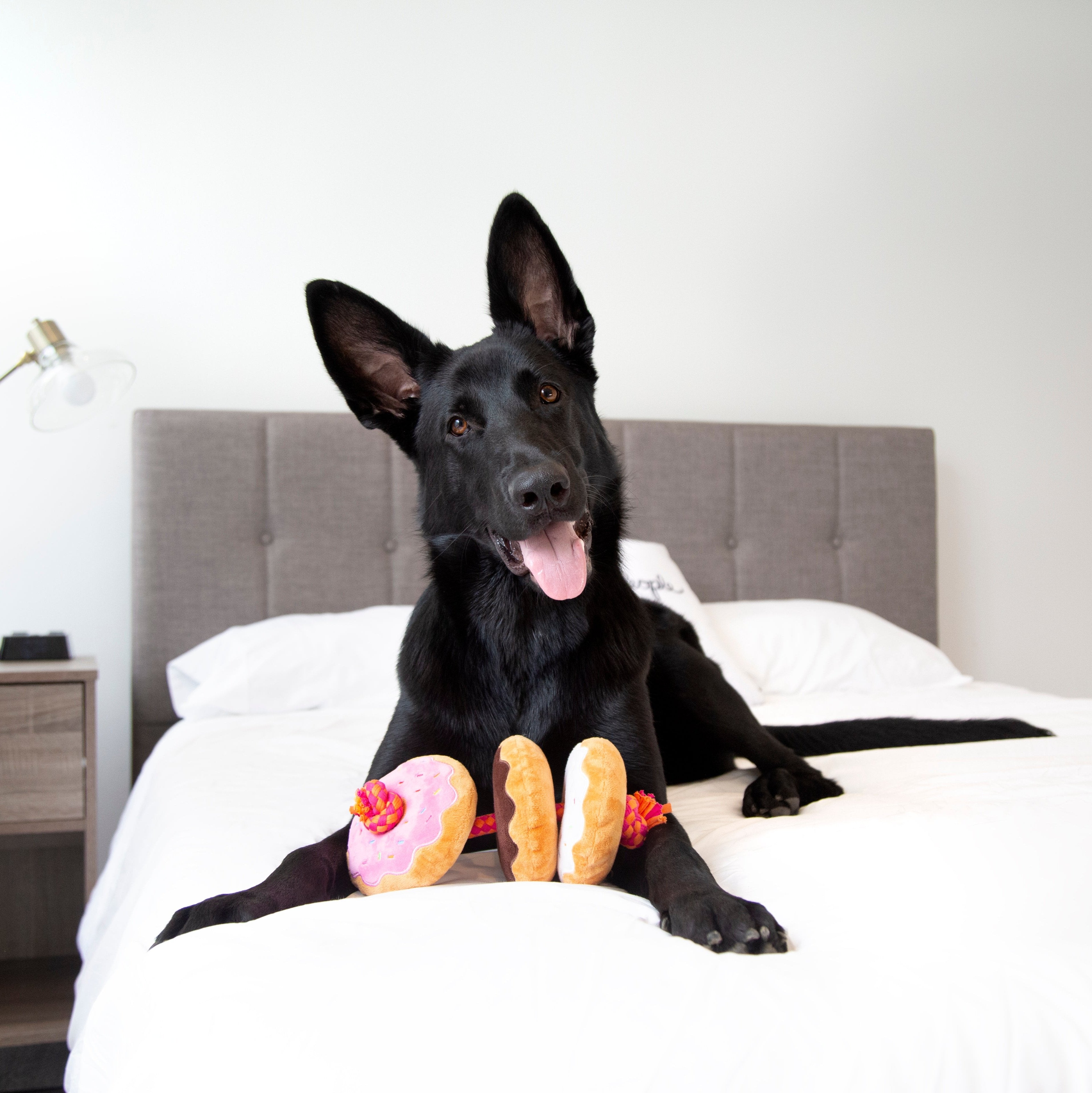 Dunkin'® Donuts on a Rope Toy