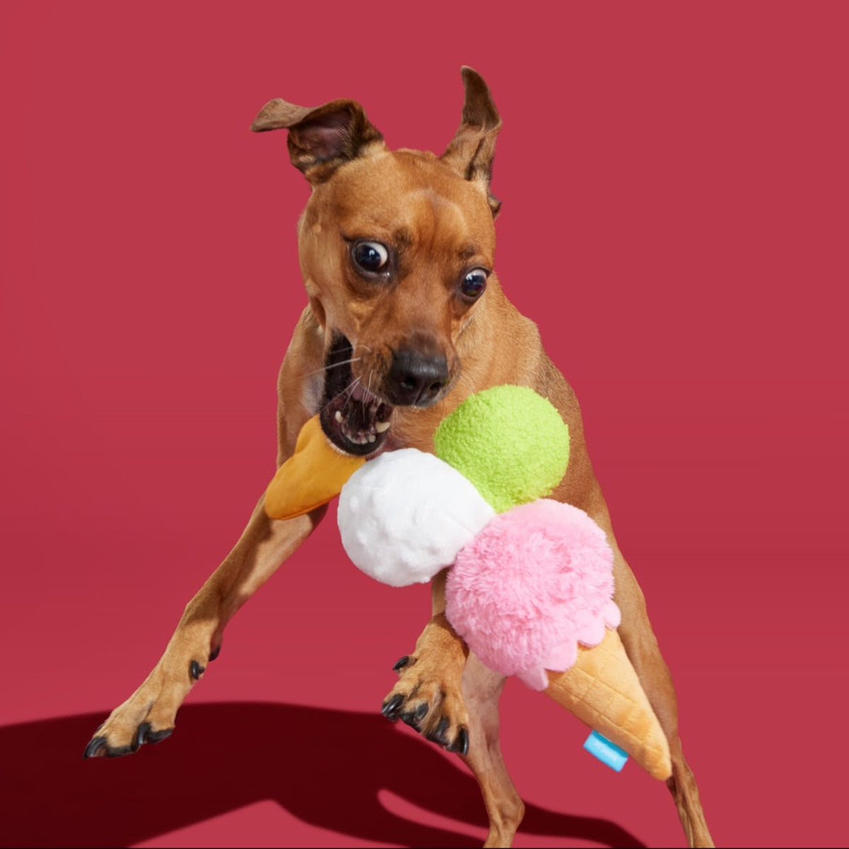 D'oggo Gelato Plush Dog Toy
