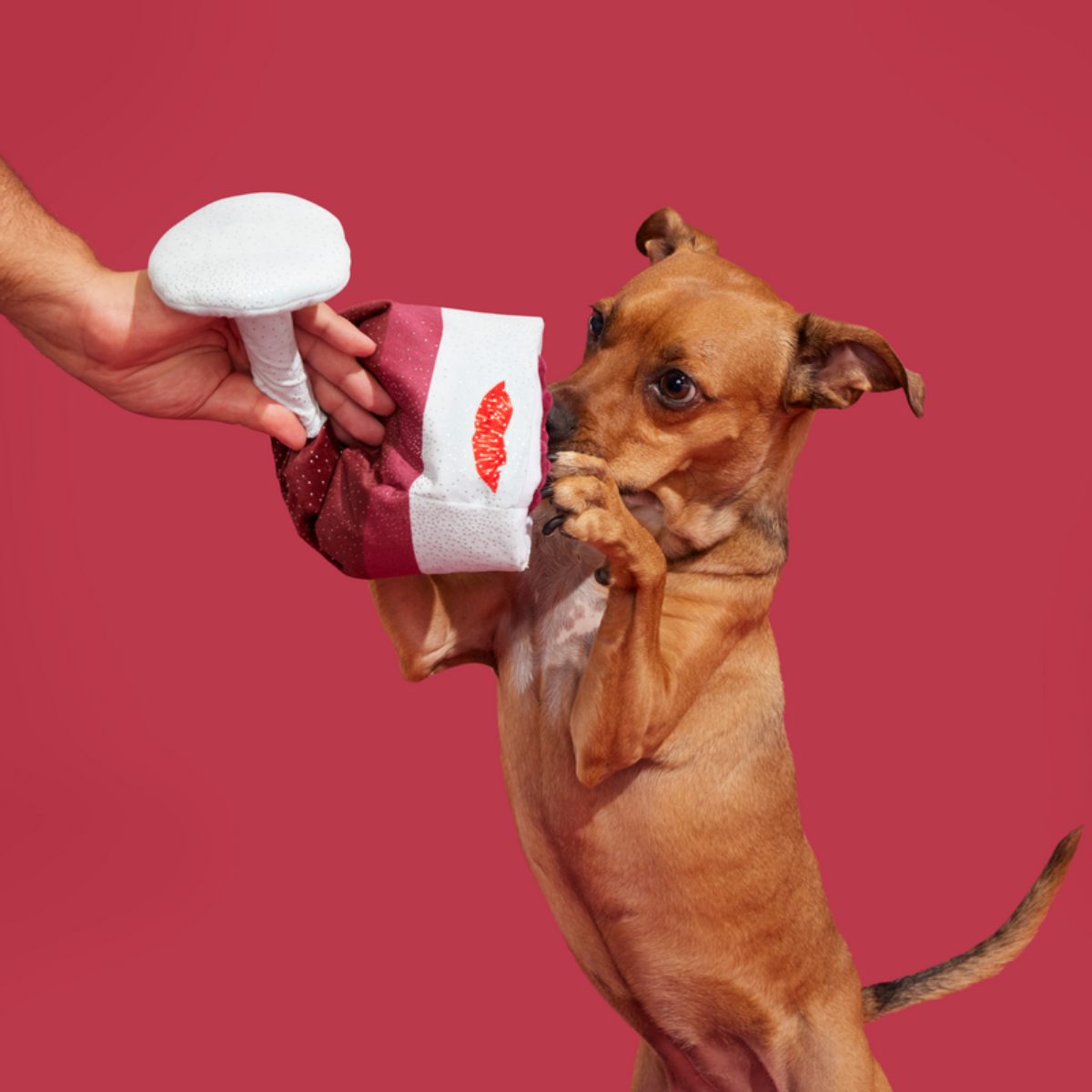 Grrrrande Vino Plush Extra-Large Dog Toy