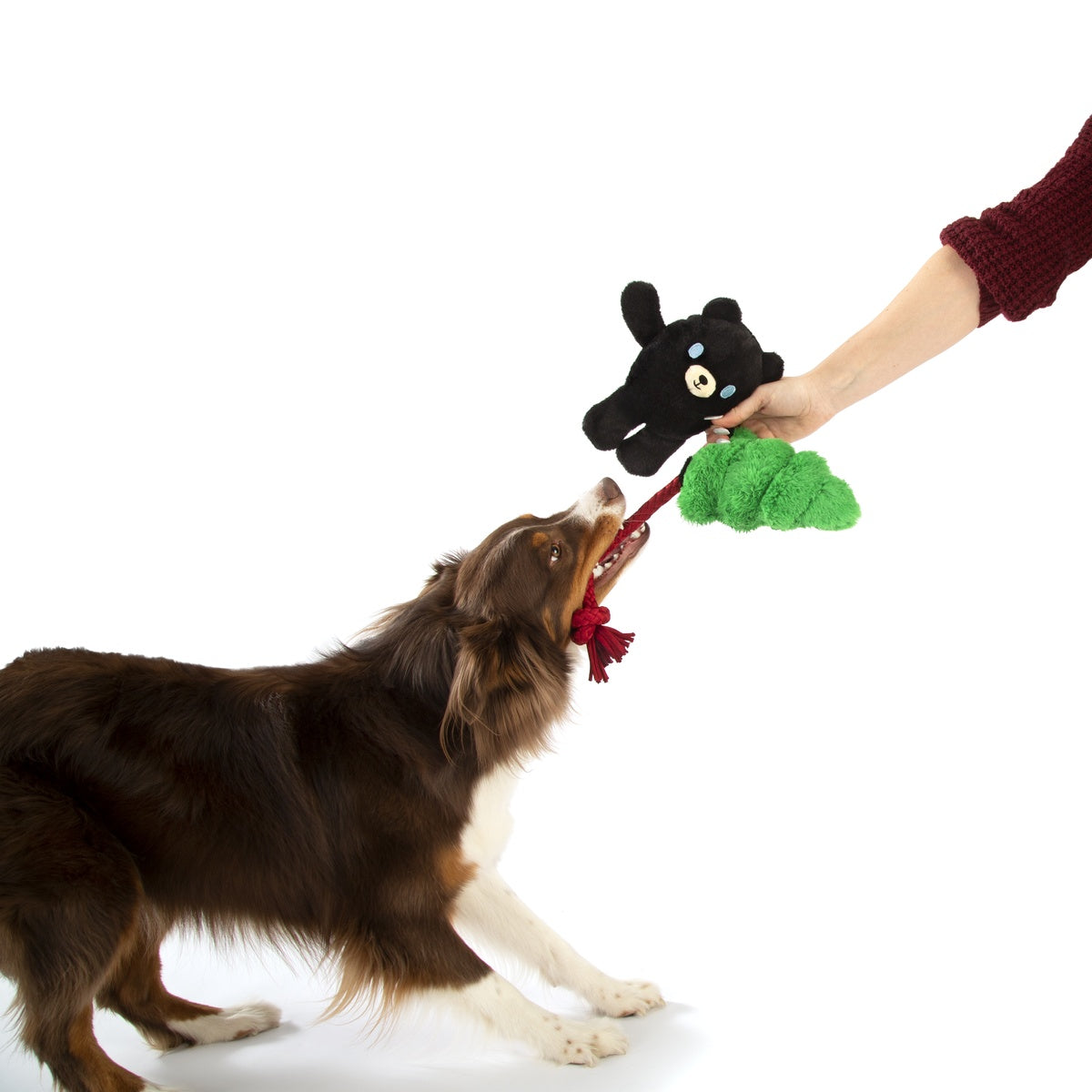 Tree Huggin’ Terry Plush Tug Dog Toy