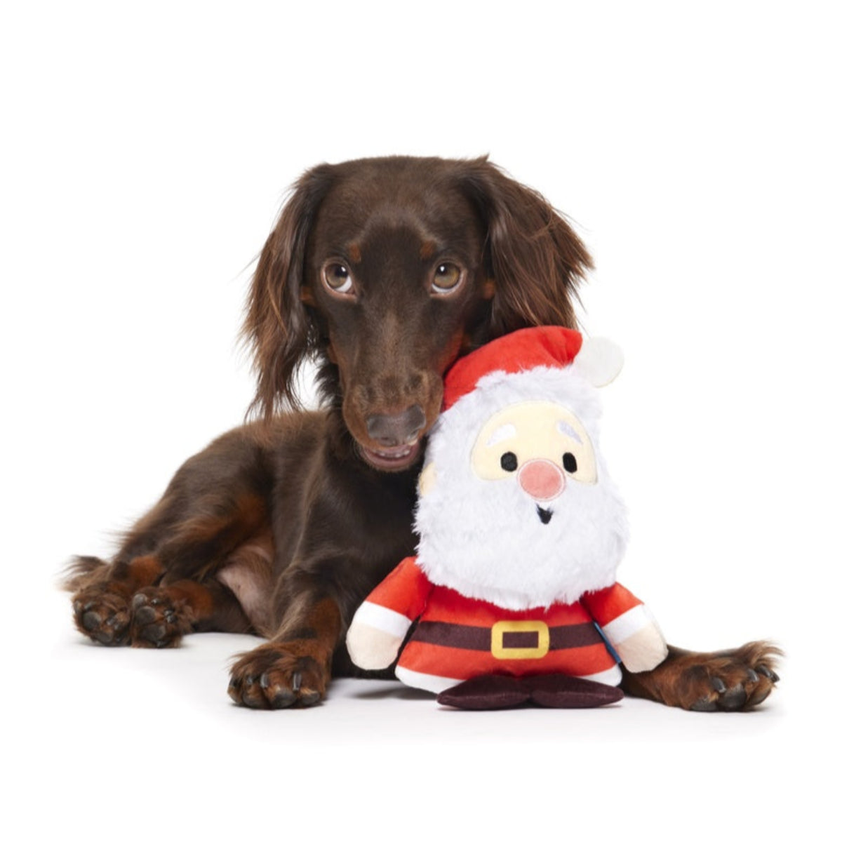 Santa Gnaws Plush Dog Toy