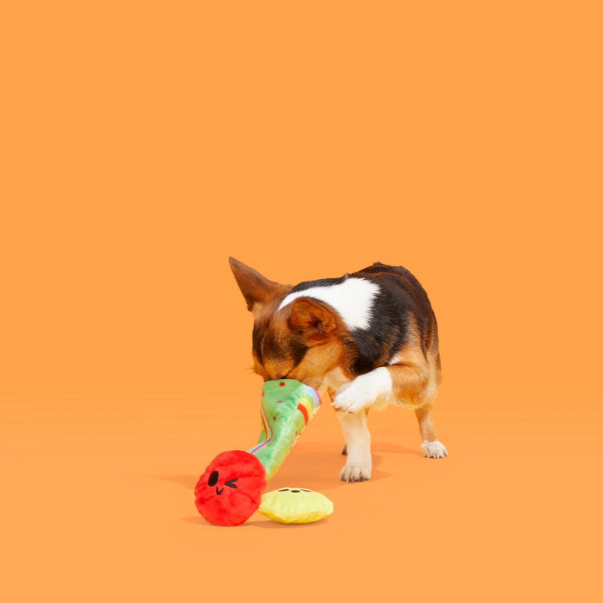 Scooties Candy Plush Multi-Part + Enrichment Dog Toy