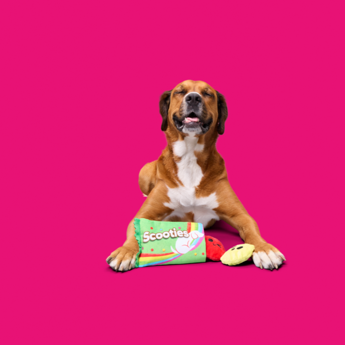 Scooties Candy Plush Multi-Part + Enrichment Dog Toy
