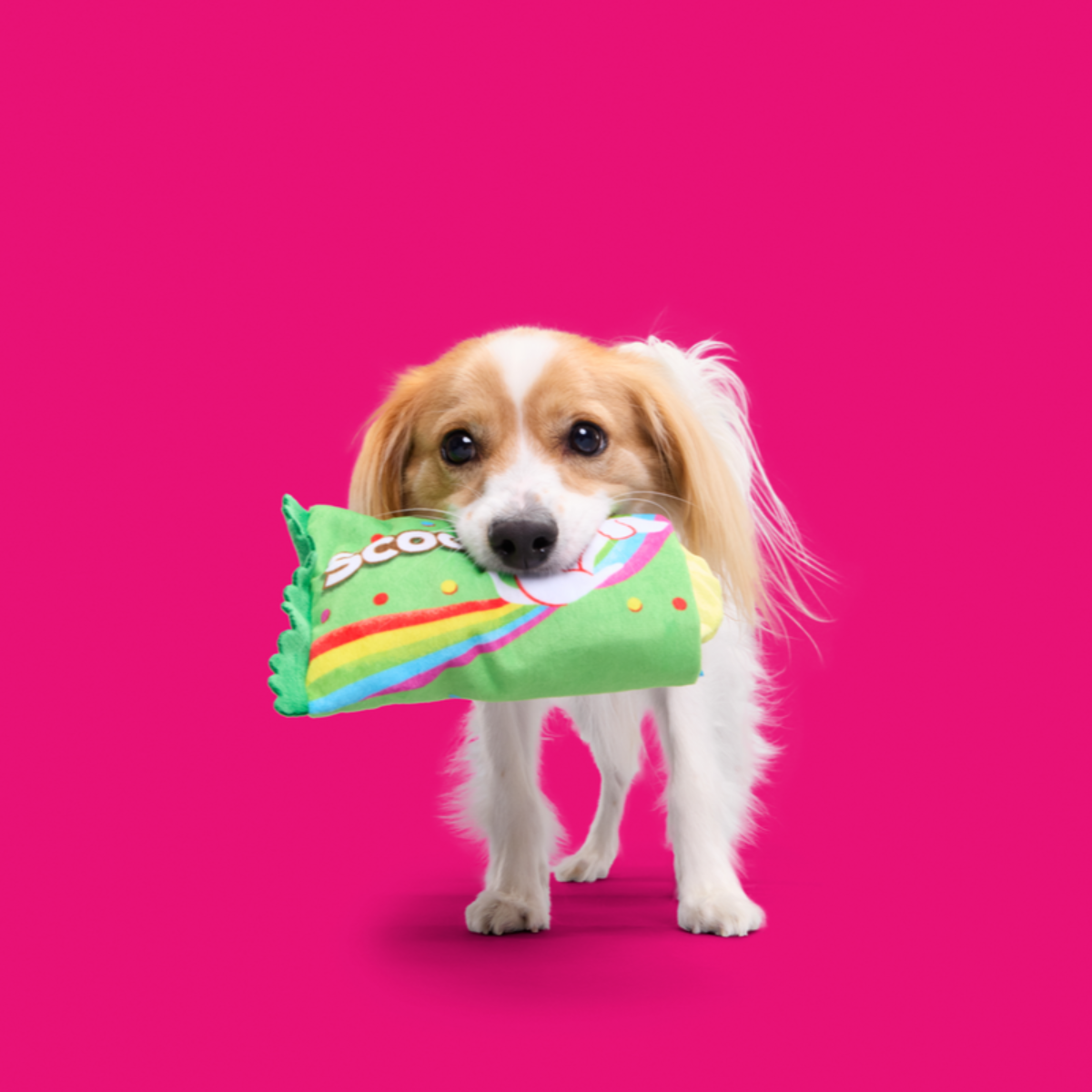 Scooties Candy Plush Multi-Part + Enrichment Dog Toy