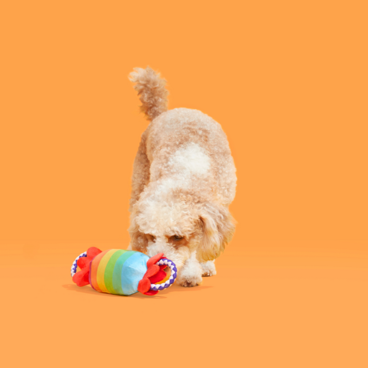 SqueakFarts Candy Plush Tug Dog Toy