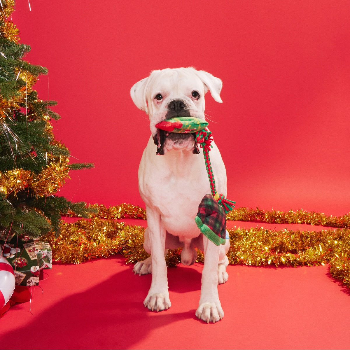 Christmutts Sweater Tug and Rope Plush Dog Toy