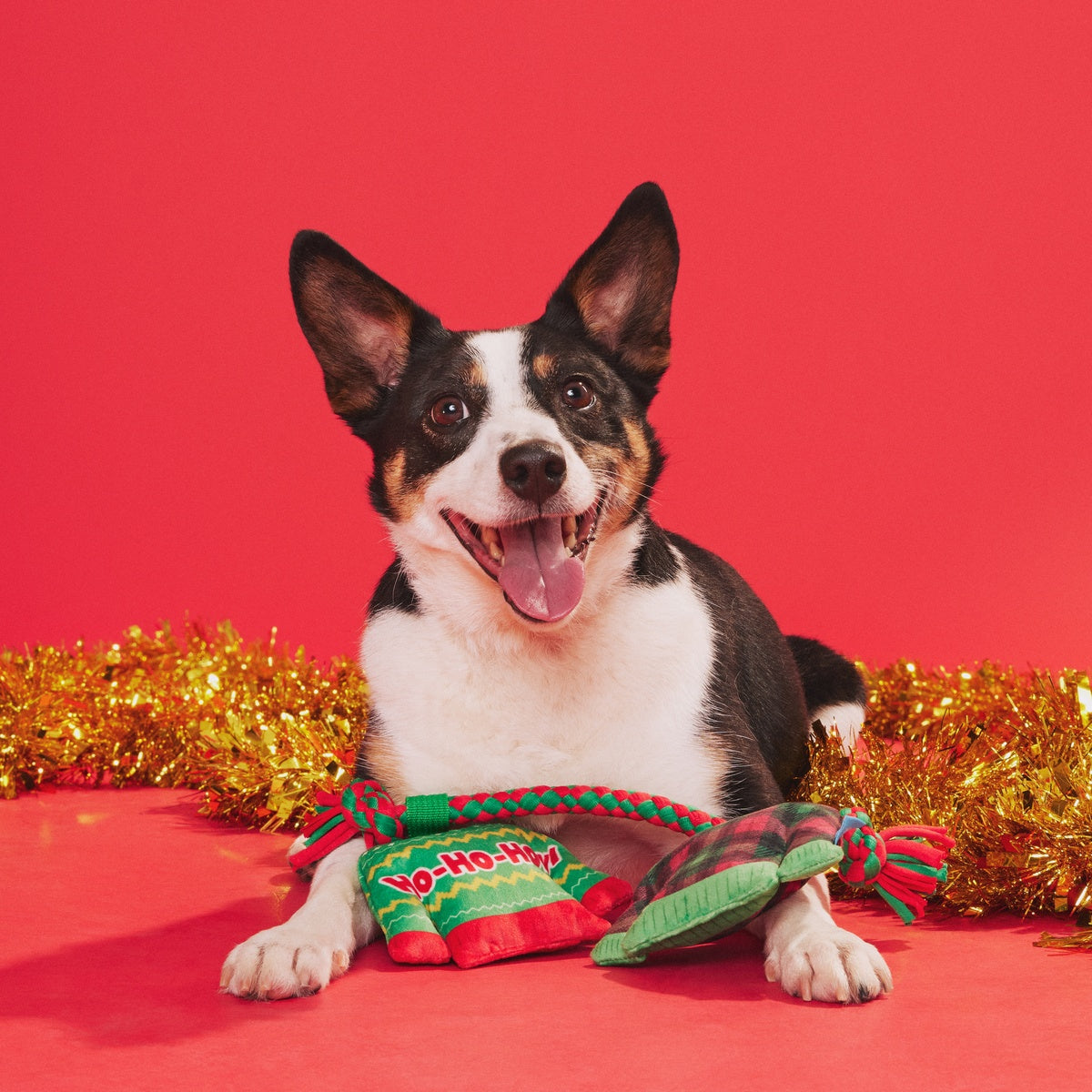 Christmutts Sweater Tug and Rope Plush Dog Toy