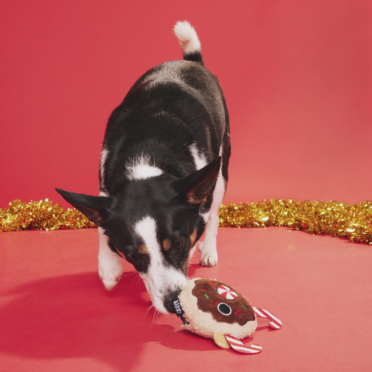 Gnasher The Puppermint Reindeer