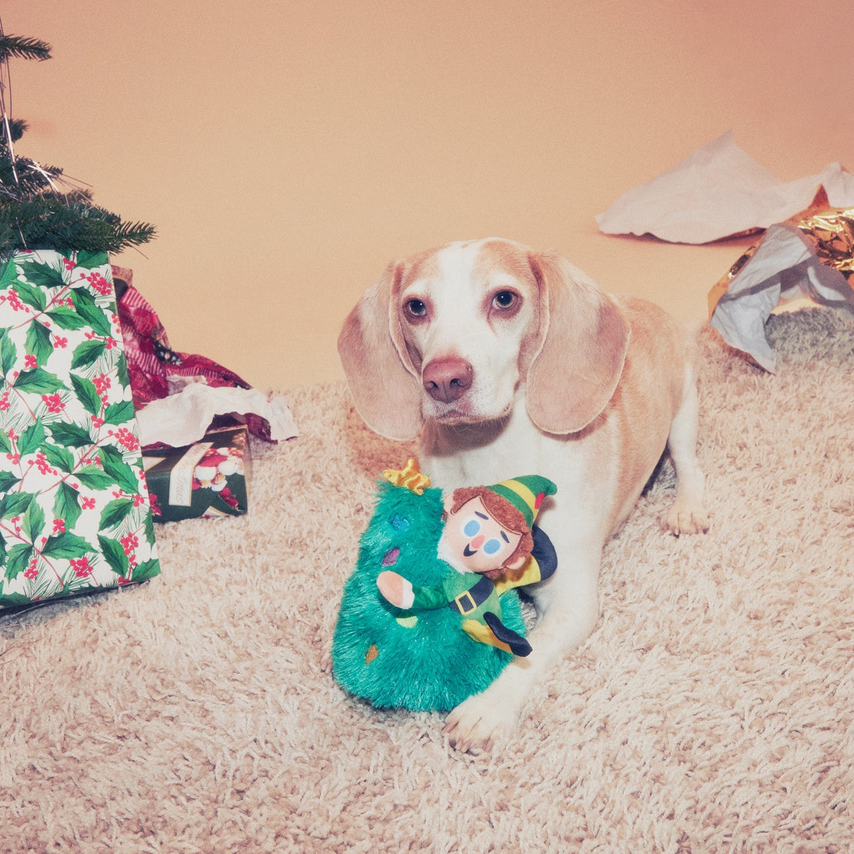Tree Topper Buddy™ Plush Dog Toy – BARK