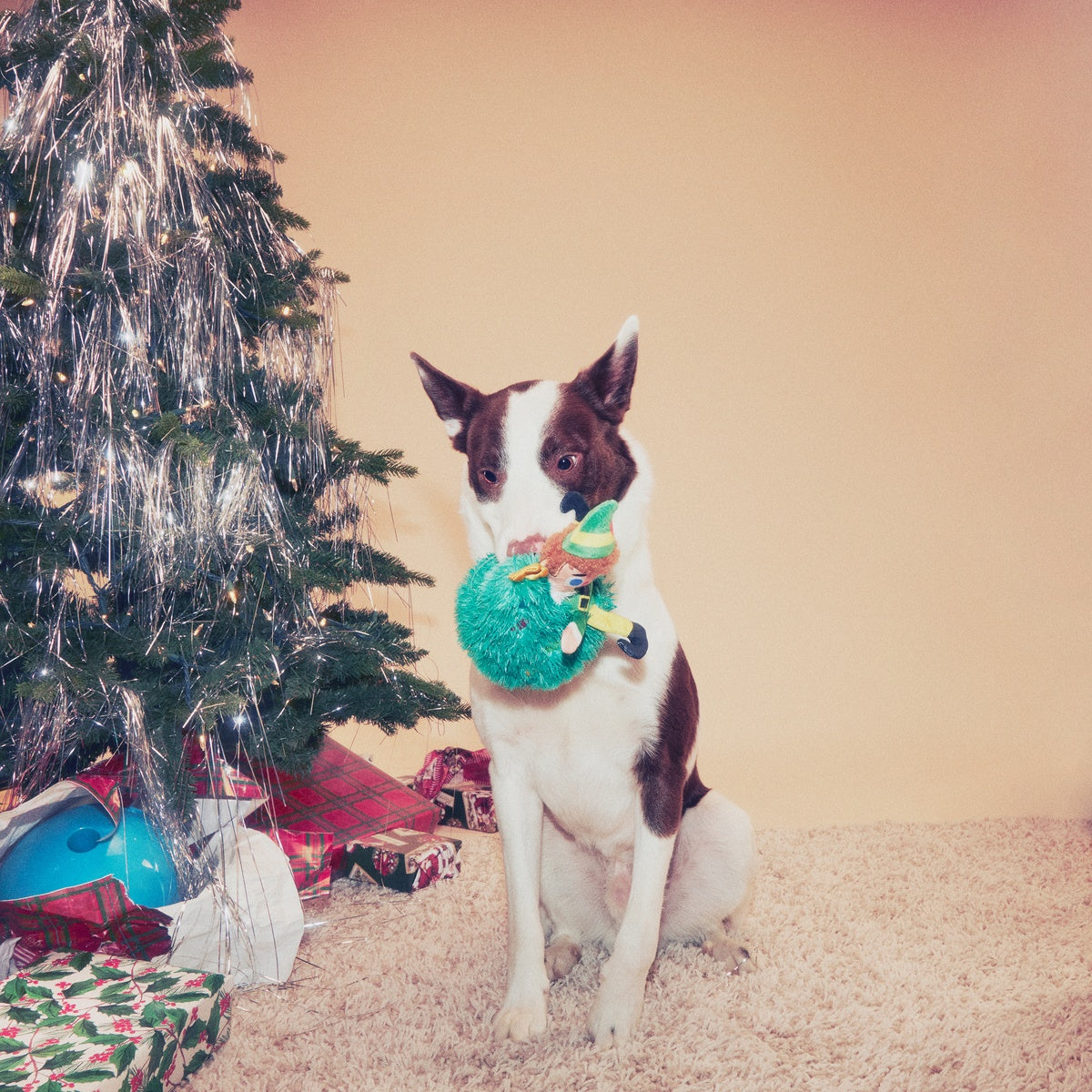 Tree Topper Buddy™