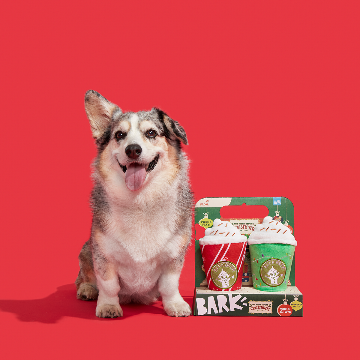 Fa-la-la-la Lattes Plush Dog Toy Bundle