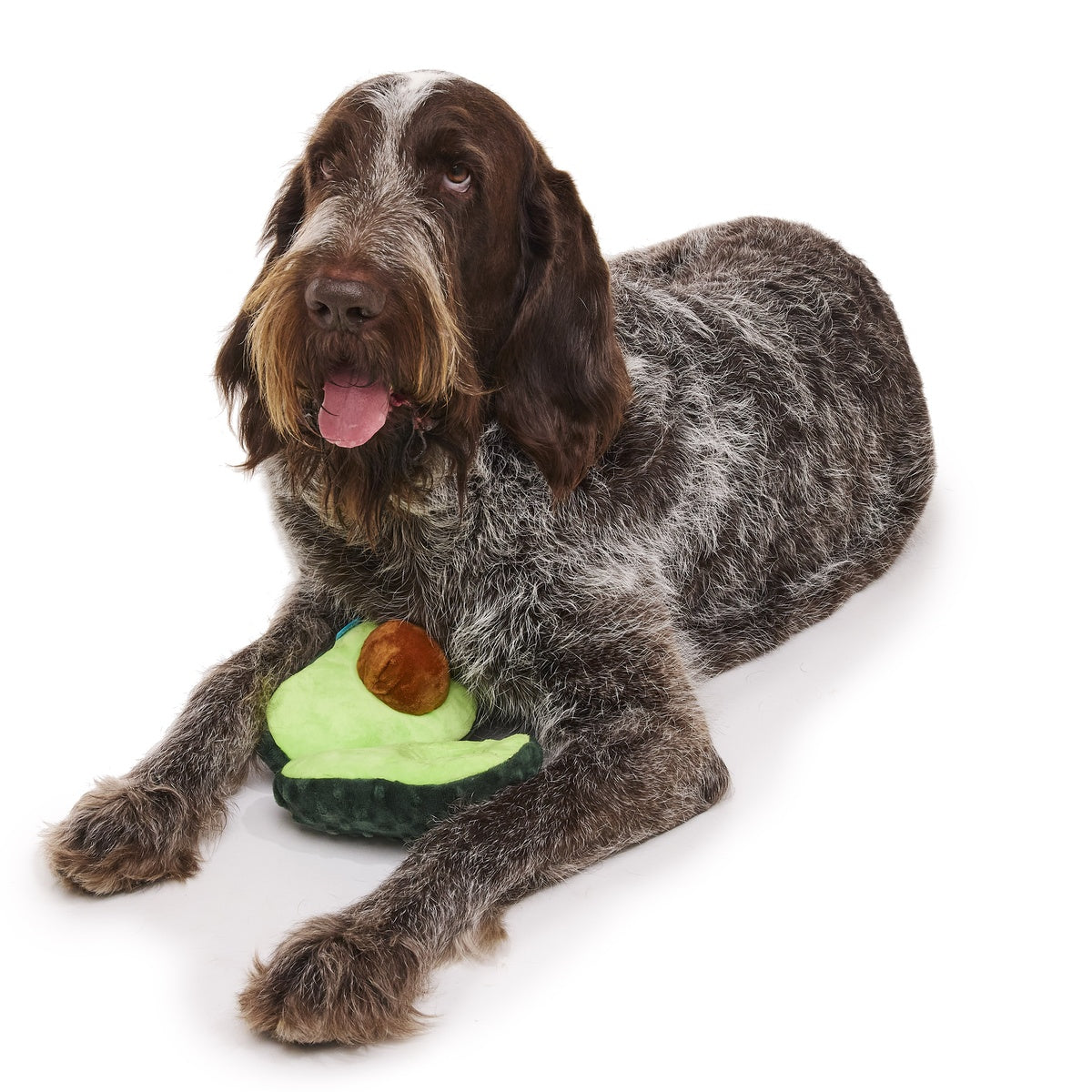Arfocado Plush Enrichment + Tug Dog Toy – BARK