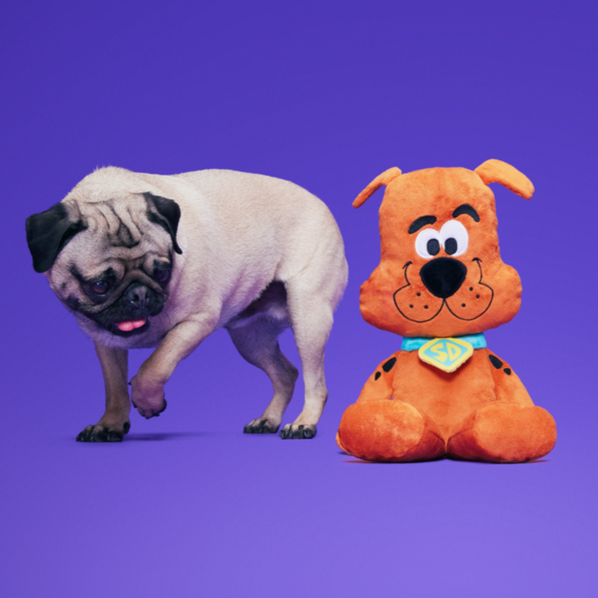 Scooby-Doo™ Bundle Plush Extra-Large Dog Toy