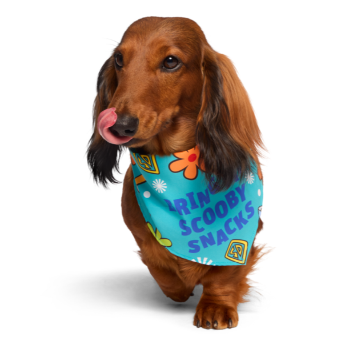 Scooby-Doo™ Bundle Plush Extra-Large Dog Toy