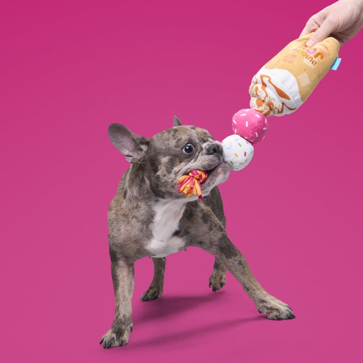 Dunkin'® Pumpkin Signature Latte Dog Toy