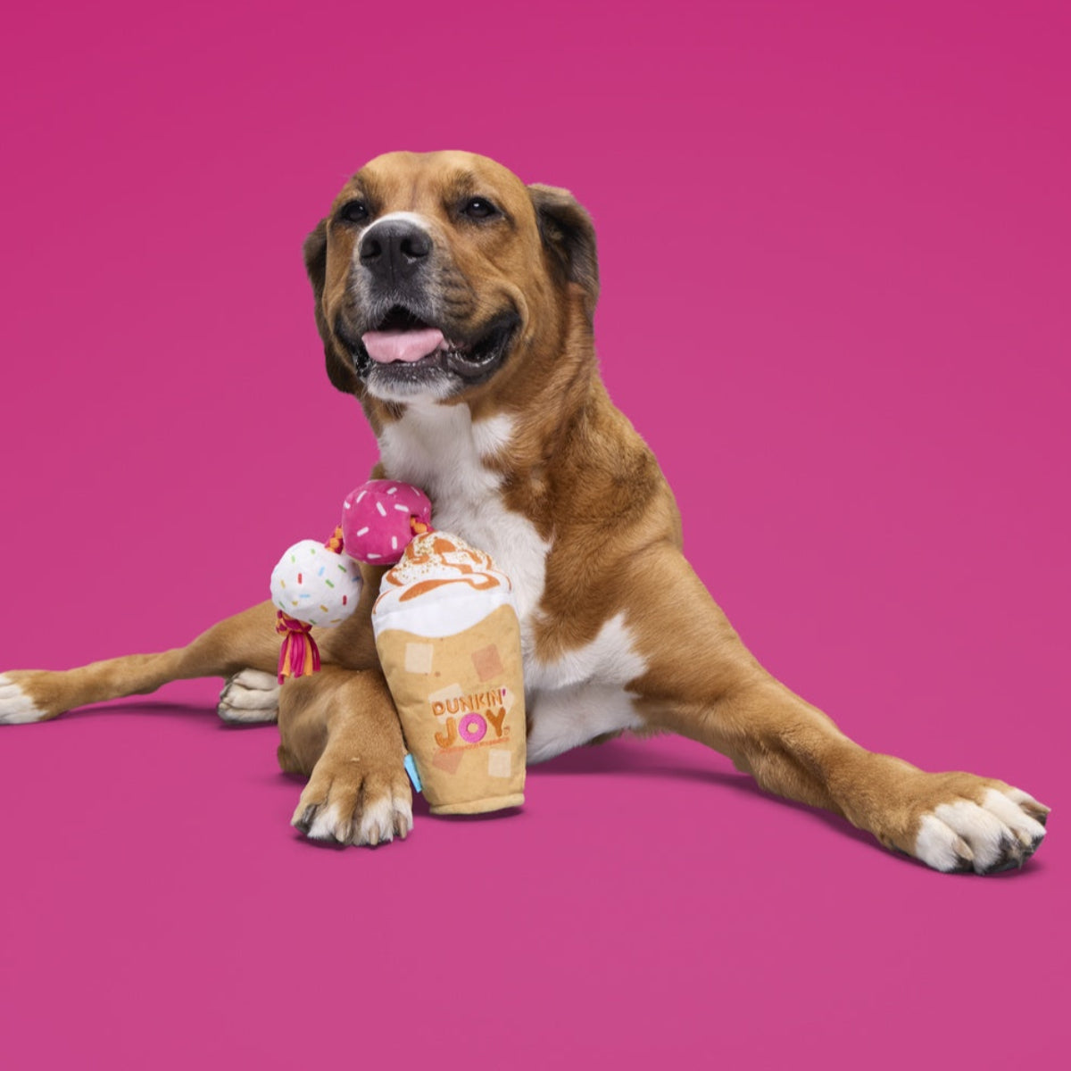 Dunkin'® Pumpkin Signature Latte Dog Toy – BARK