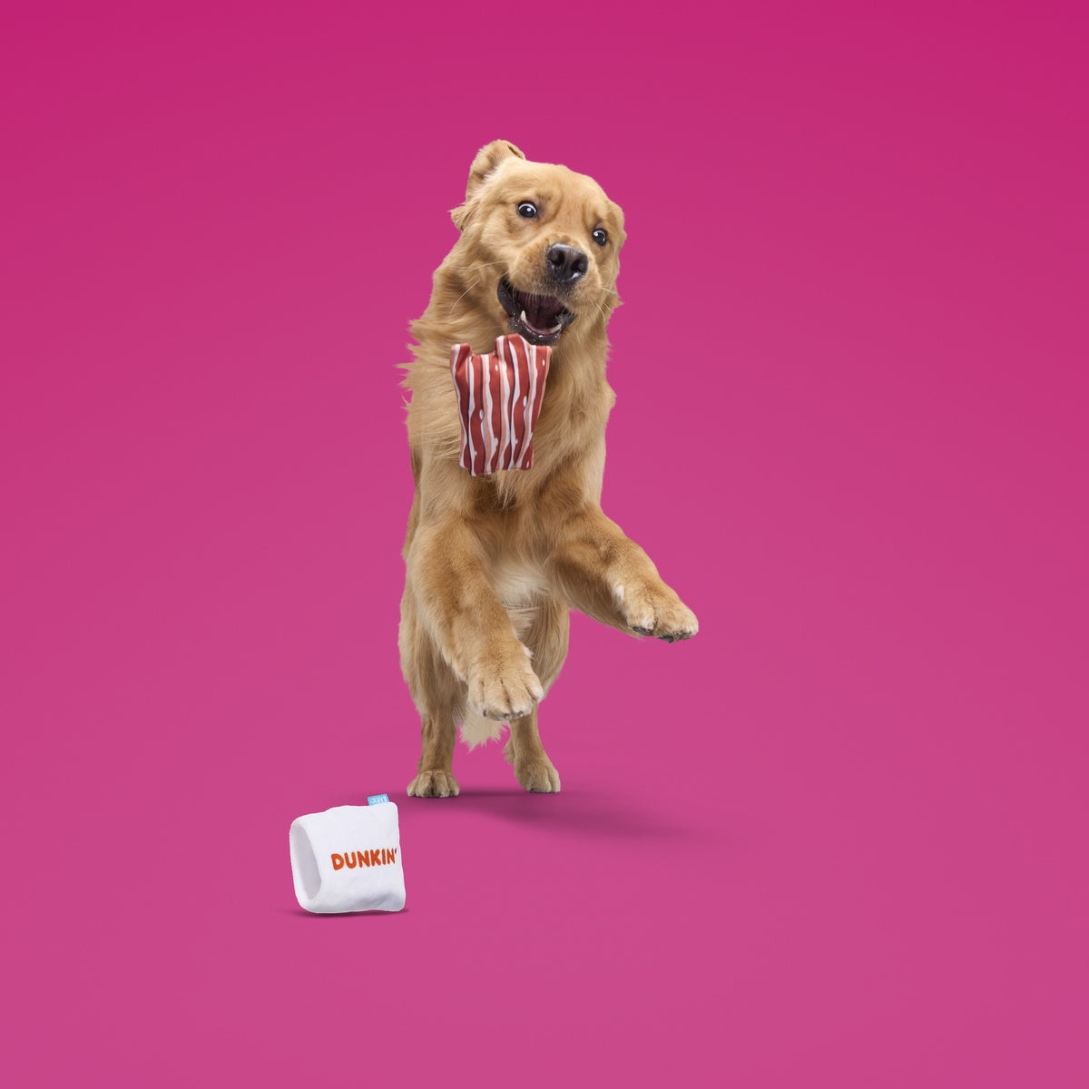 Dunkin'® Snackin' Bacon Toy