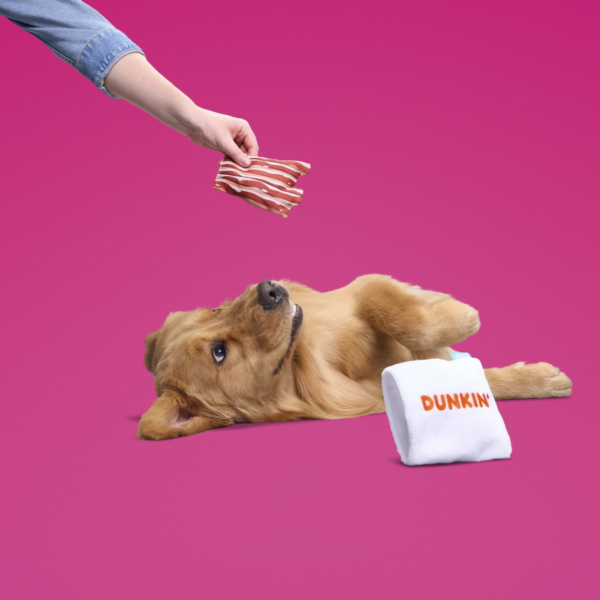 Dunkin'® Snackin' Bacon Plush Multi-Part + Enrichment Dog Toy – BARK
