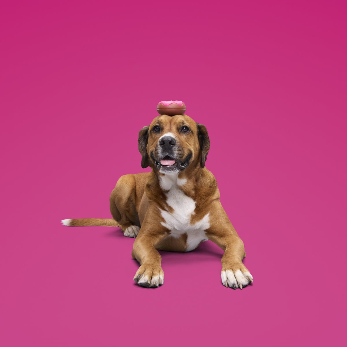 Dunkin'® Pumpkin Donut Toy