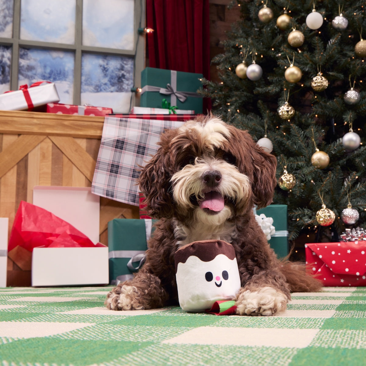 Lil Bro-coa Tug Dog Toy – BARK