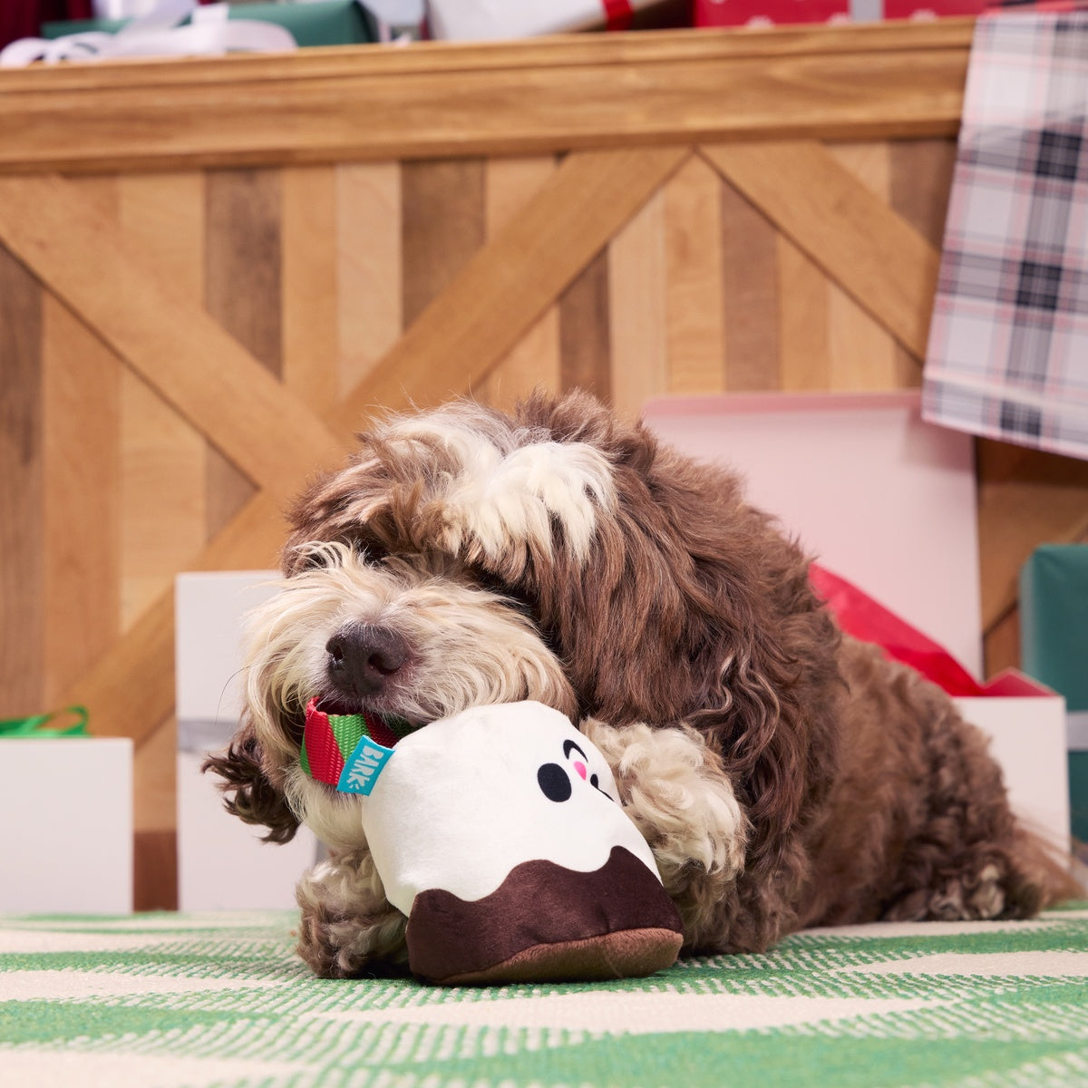 Lil Bro-coa Tug Dog Toy – BARK