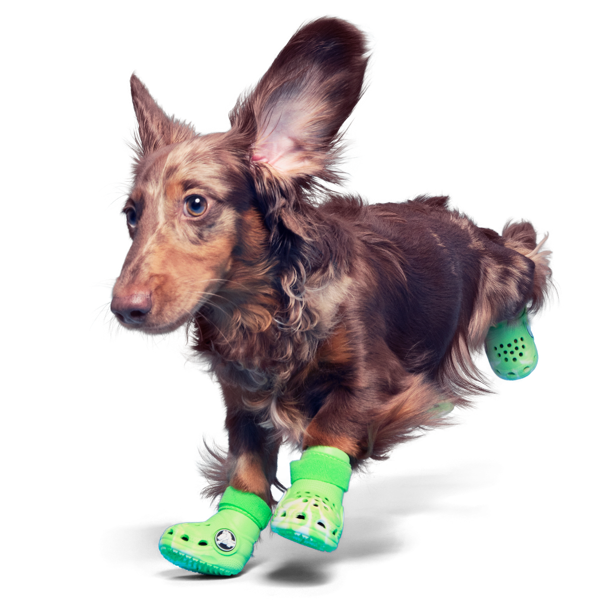 Crocs™ Shoes For Dogs#Color_Green Slime