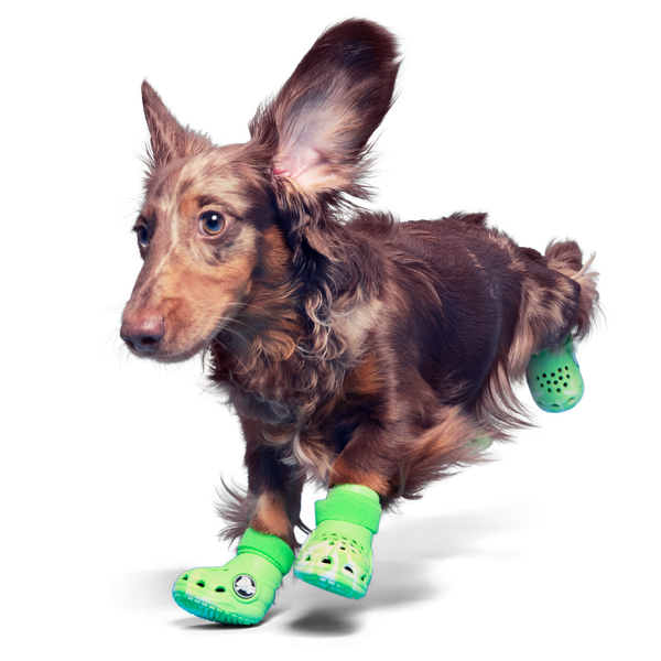 Crocs™ Shoes For Dogs | Dog Crocs by BARK