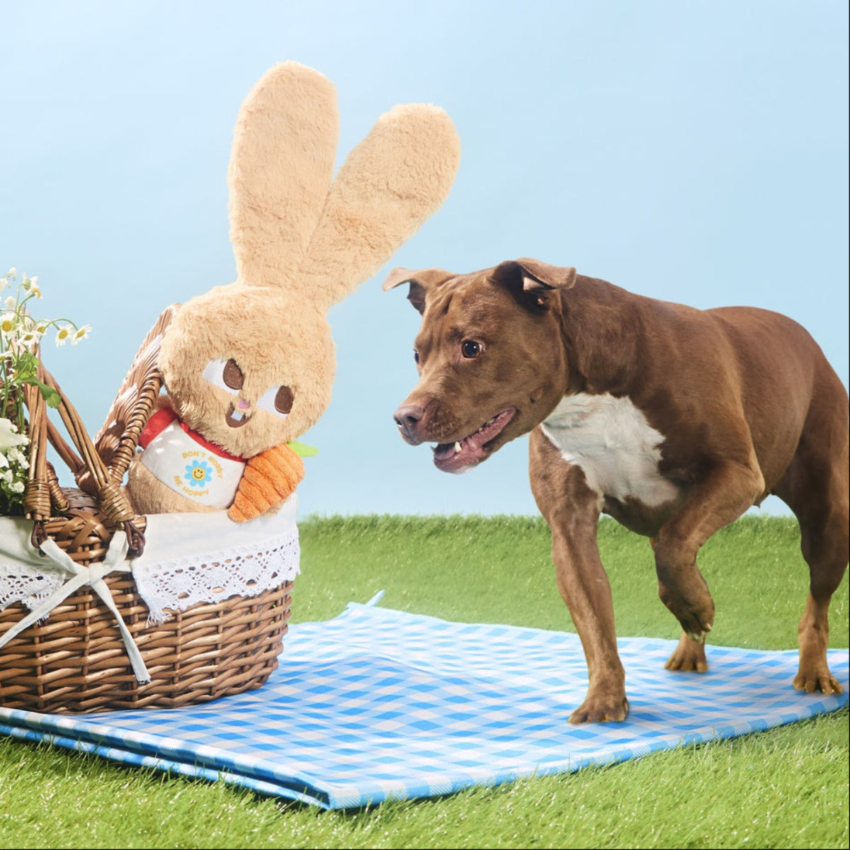 Veggie Reggie Plush Tug + Extra-Large Dog Toy