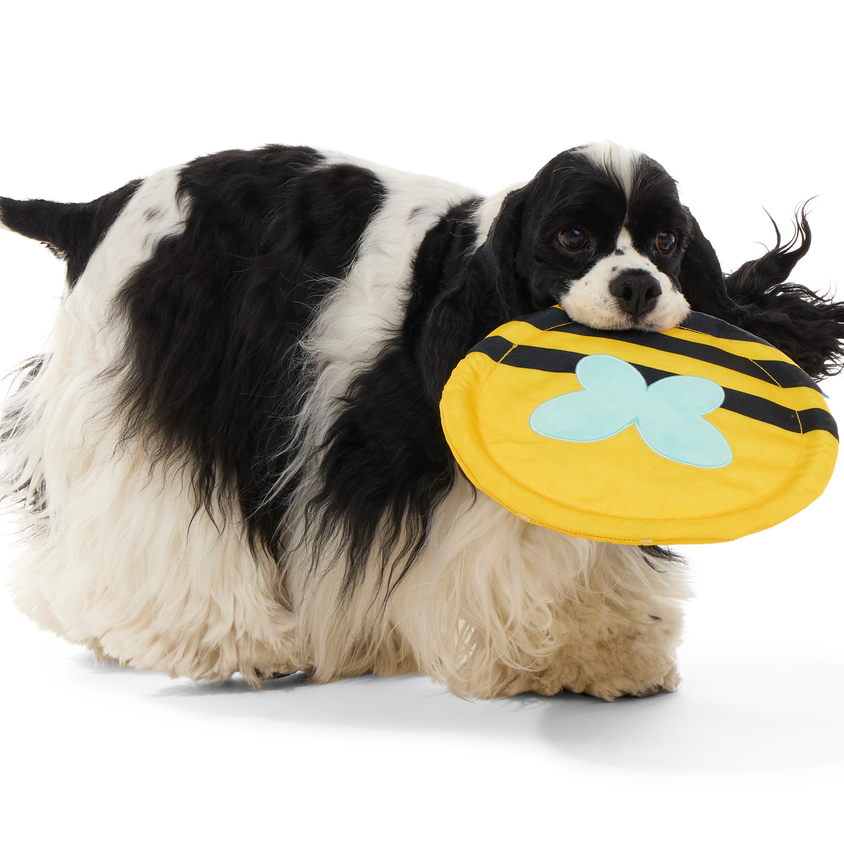 Fritz Bee Fetch Dog Toy