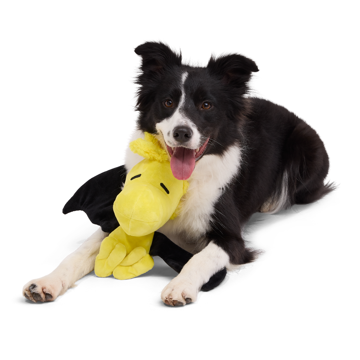 Woodstockula Plush Extra-Large + Tug Dog Toy