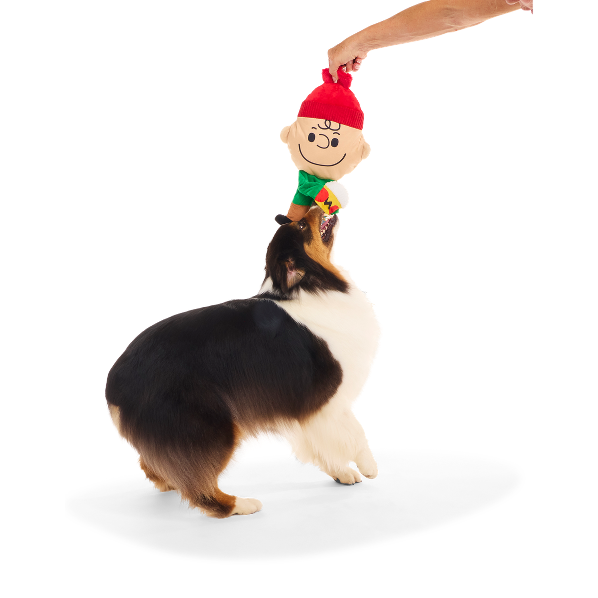 Hot Chocolate Charlie Brown