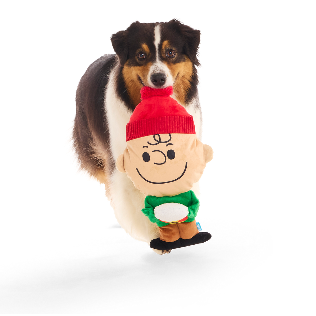 Hot Chocolate Charlie Brown Plush Extra-Large Dog Toy – BARK