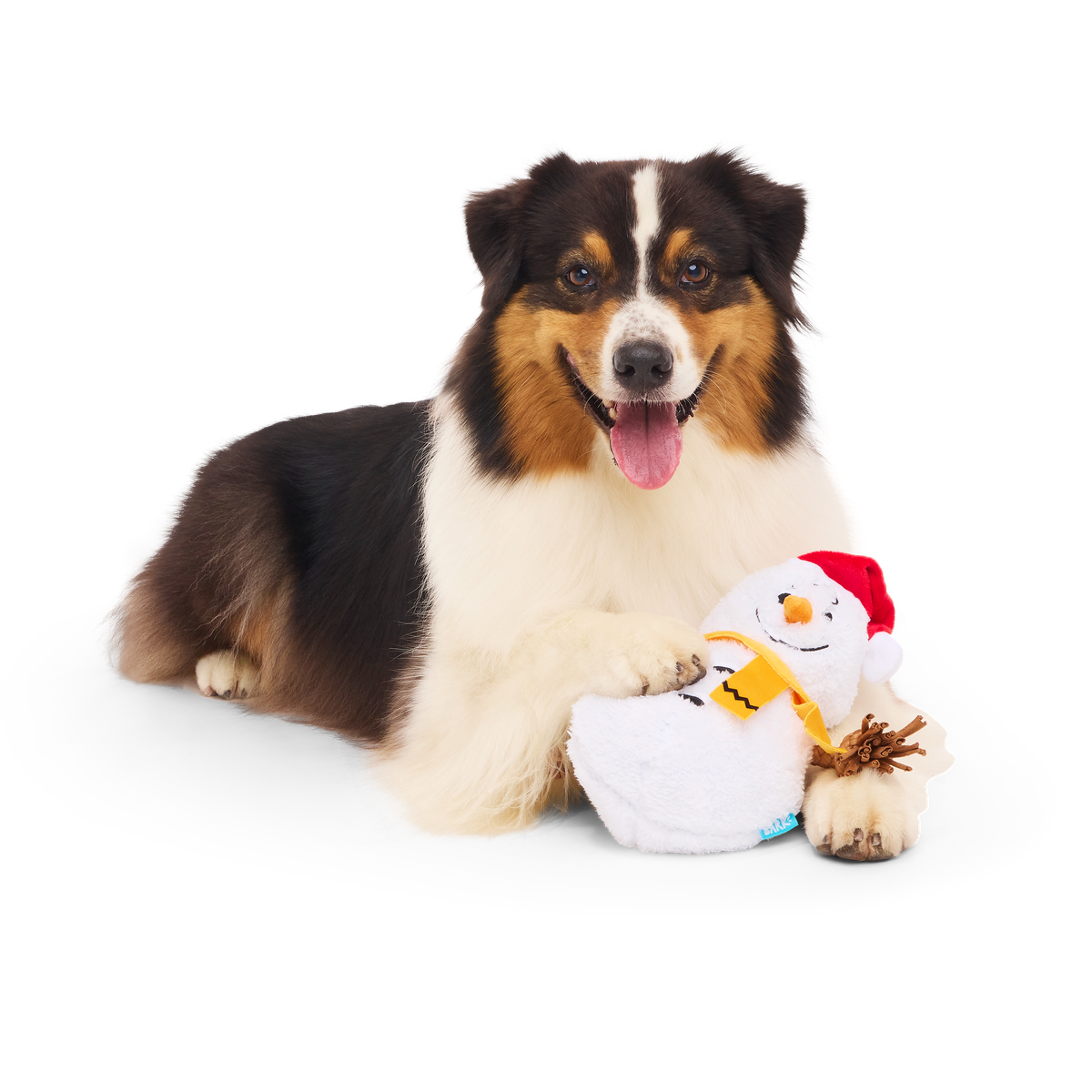 Snowman Charlie Brrrown