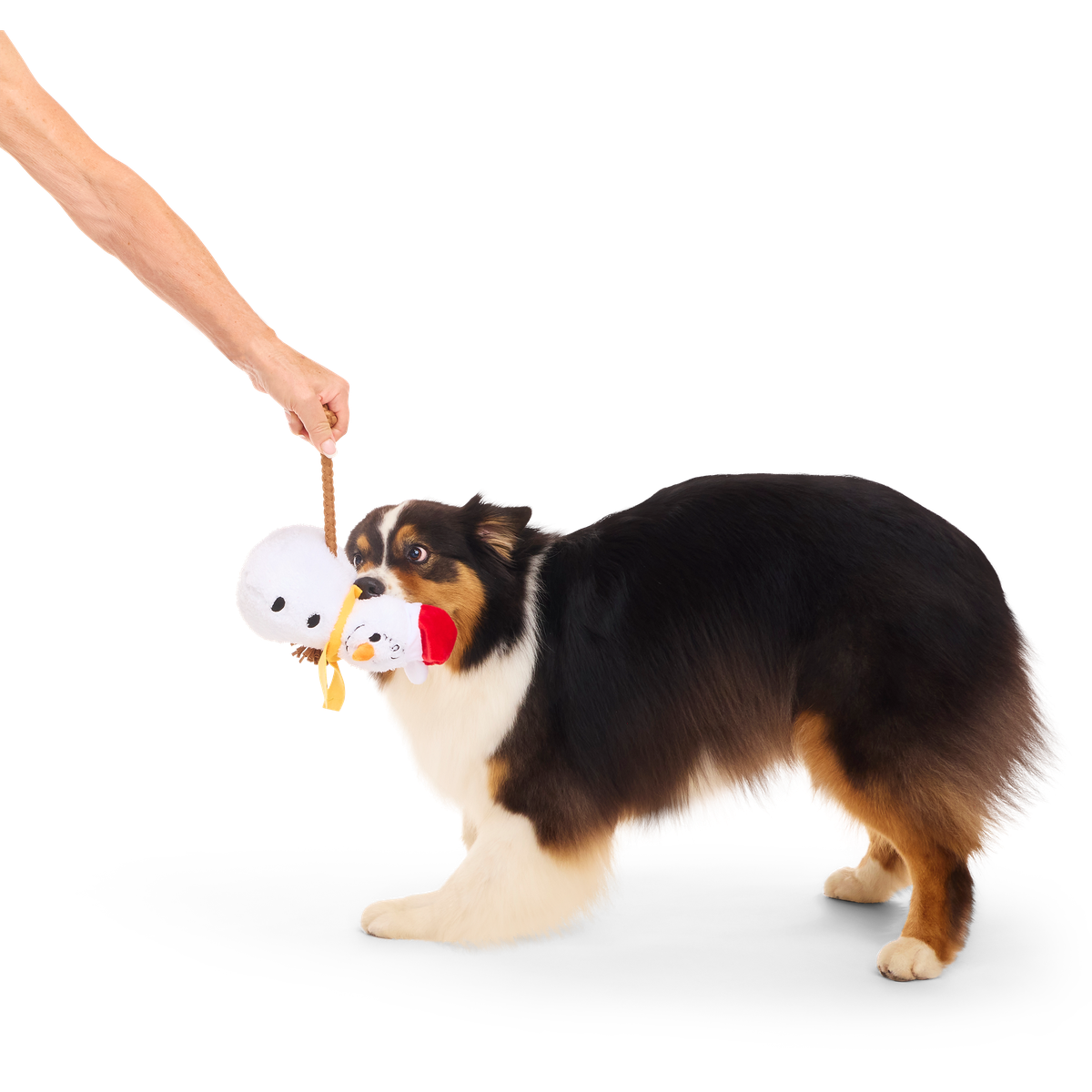 Snowman Charlie Brrrown