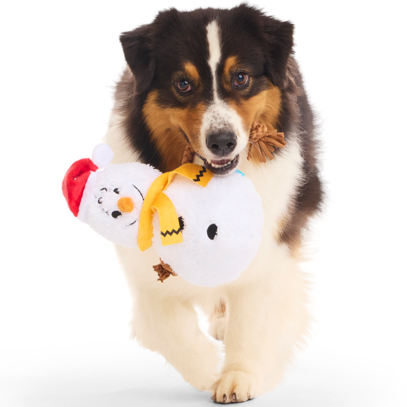 Snowman Charlie Brrrown