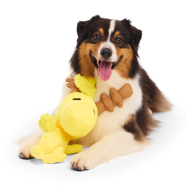 Reinbird Plush Extra-Large Dog Toy – BARK