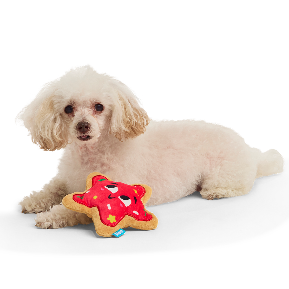 Howly Jowly Holidays Dog Toy Bundle