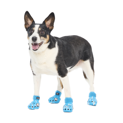 Crocs™ Shoes For Dogs#Color_Marina