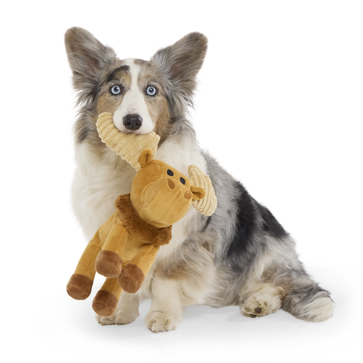 Melvin The Moose Plush Tug Dog Toy