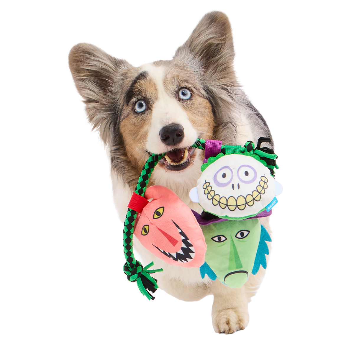 Lock, Shock, and Barrel Buddies Plush Extra-Large + Tug Dog Toy