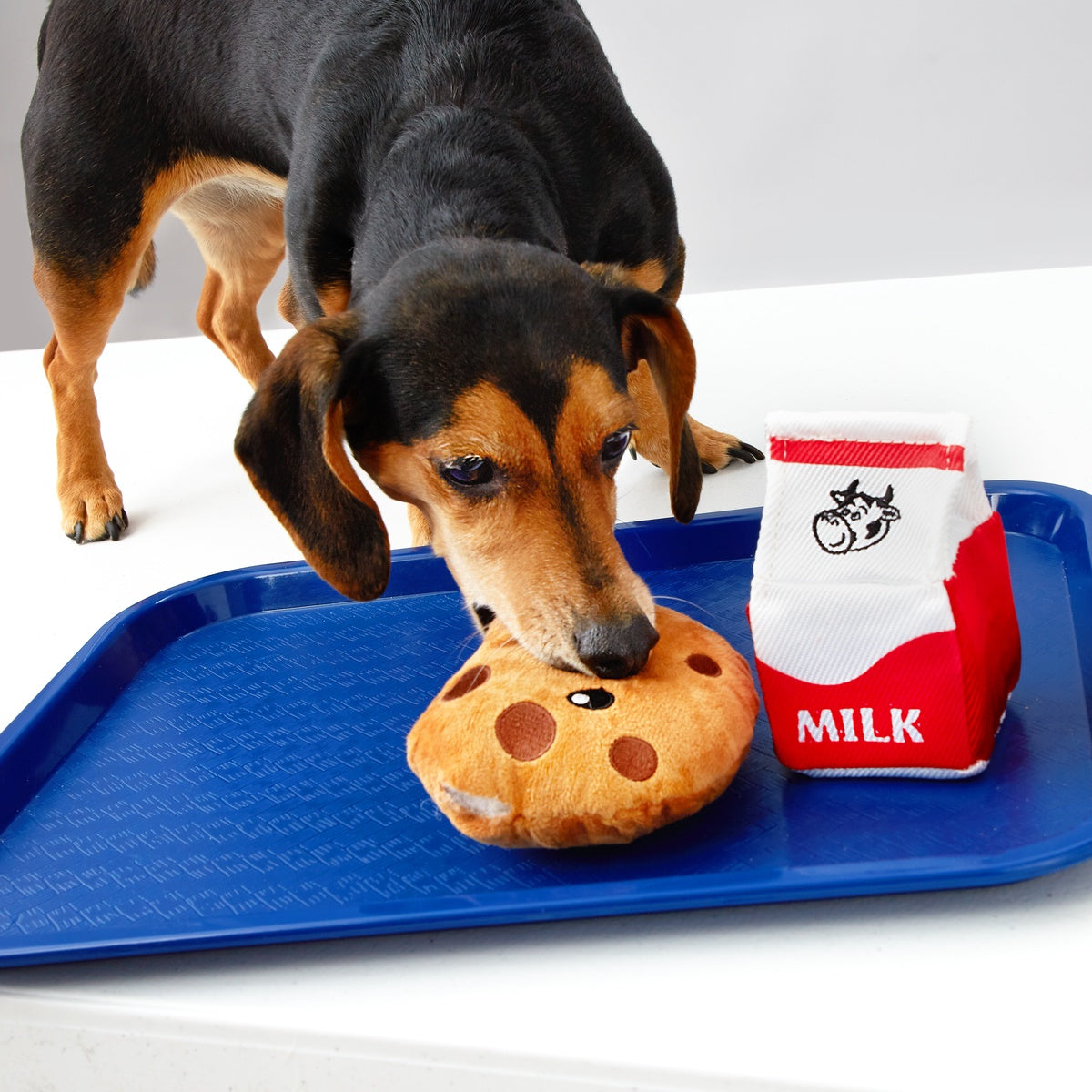 After School Snack Pack Plush Multi-Part Dog Toy