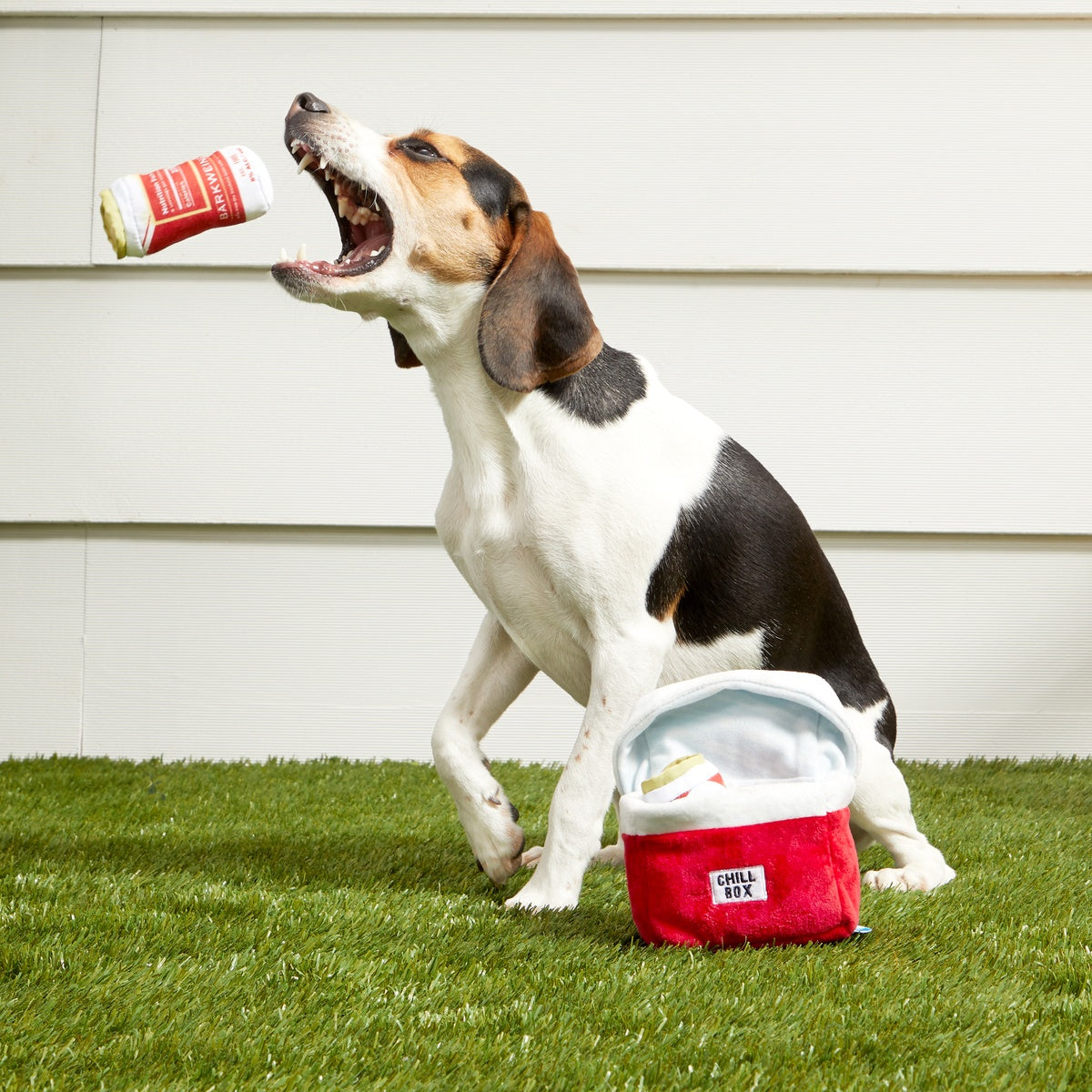 Bite Lite Beer Cooler Plush Multi-Part + Enrichment Dog Toy – BARK