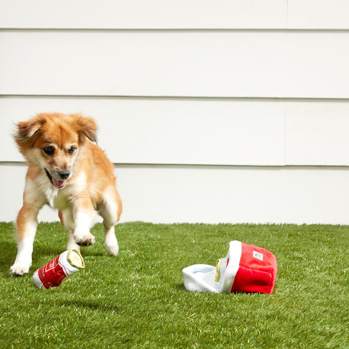 Bite Lite Beer Cooler Plush Multi-Part + Enrichment Dog Toy – BARK