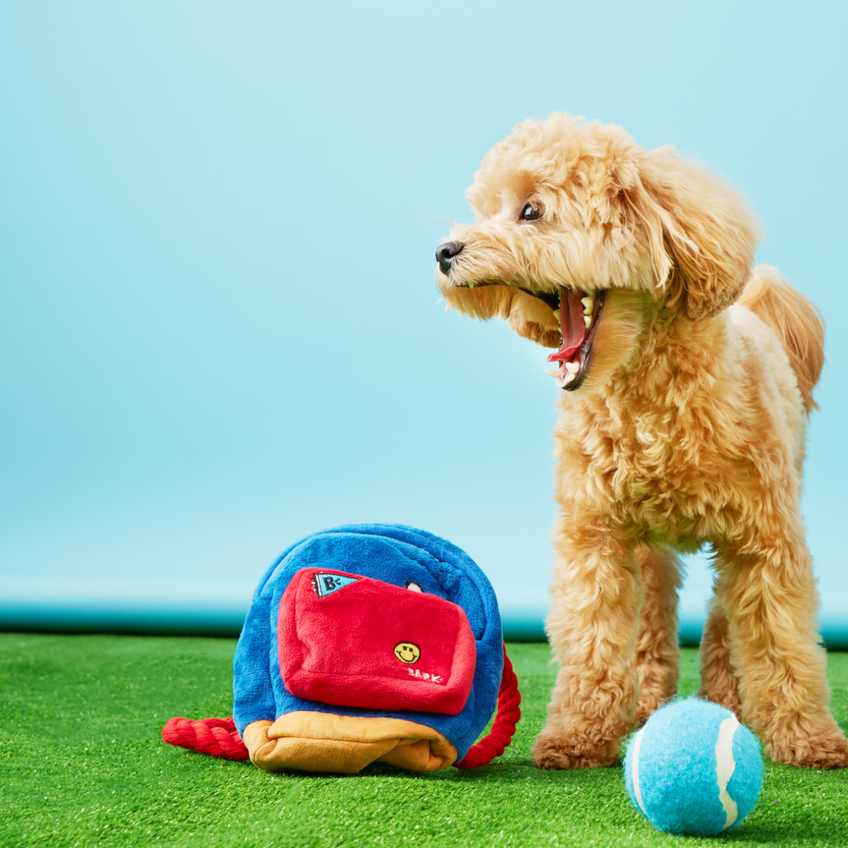 Janspup Plush Multi-Part + Tug + Fetch Dog Toy